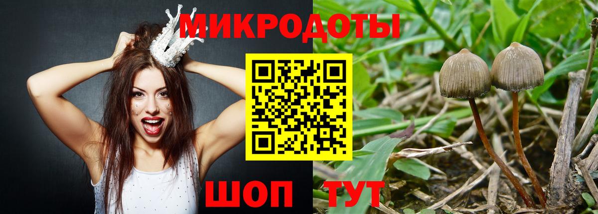 Маркс  Галлюциногенные грибы GOLDEN TEACHER  Вход с VPN 