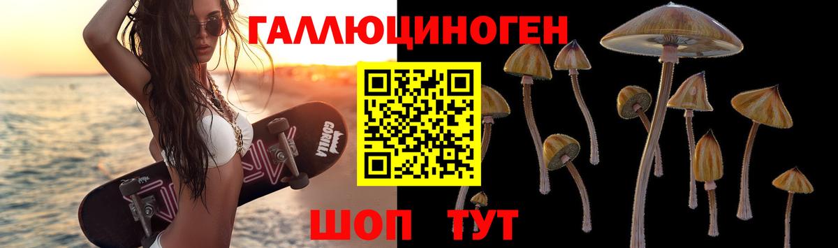 Галлюциногенные грибы Psilocybe Маркс